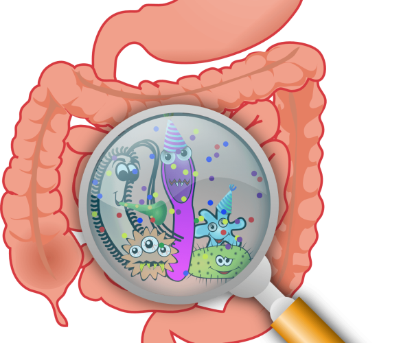 Was ist ein Mikrobiom?